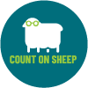 Count On Sheep