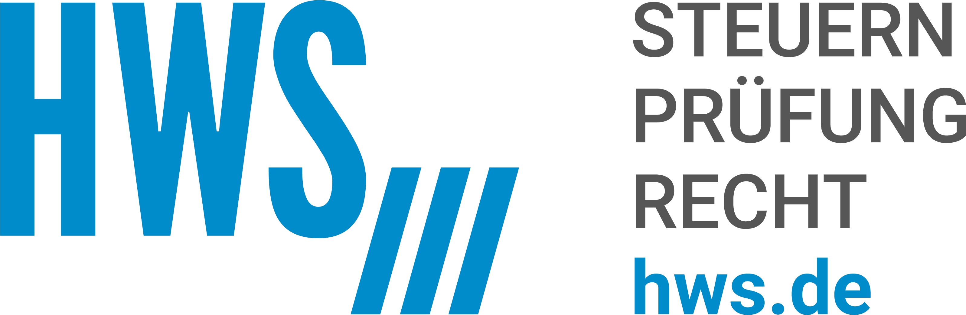 HWS Lutz GmbH & Co. KG Steuerberatungsgesellschaft